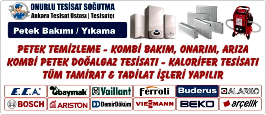 ankara kombi petek bakımı yıkama